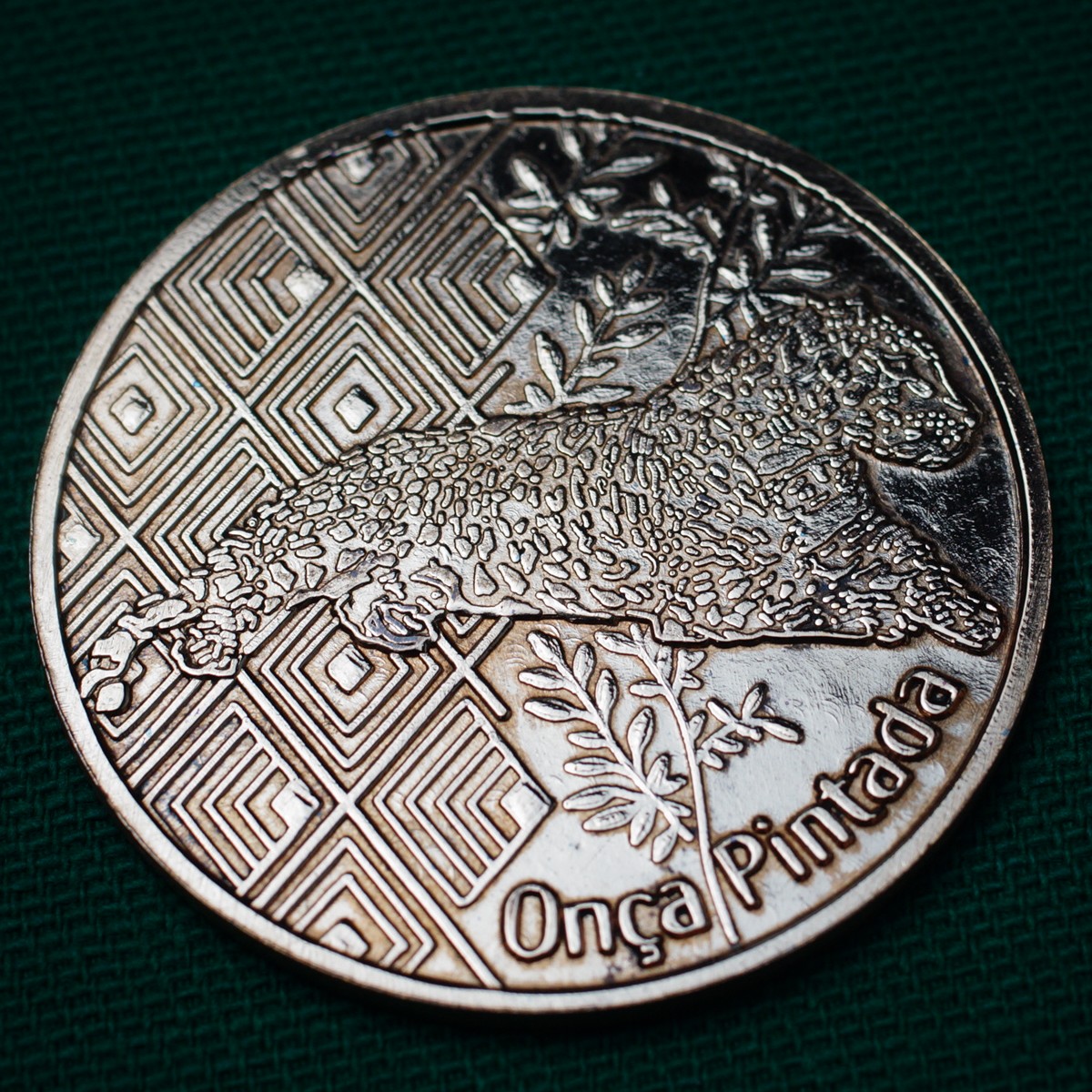 Onça de Cobre BRASIL- ONÇA PINTADA