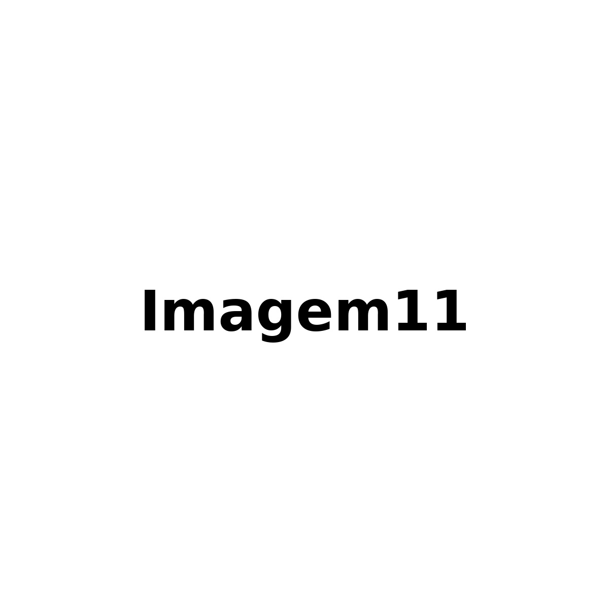 IMG11