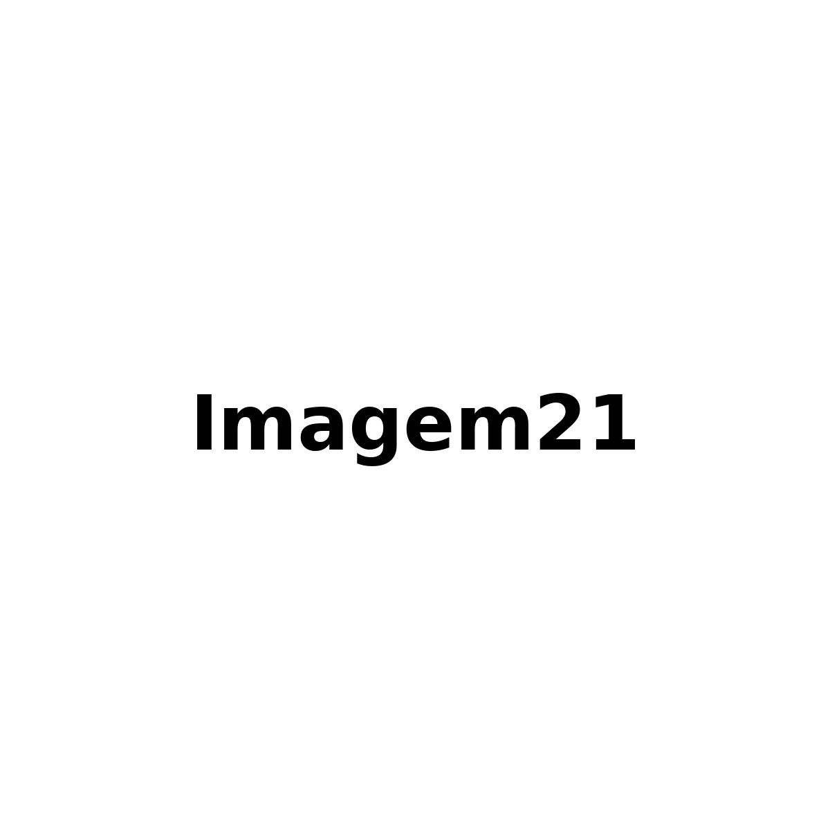 IMG21